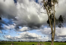 熊猫直播-独舞之夜，努涅斯在抢七生死战中写下的不朽传奇